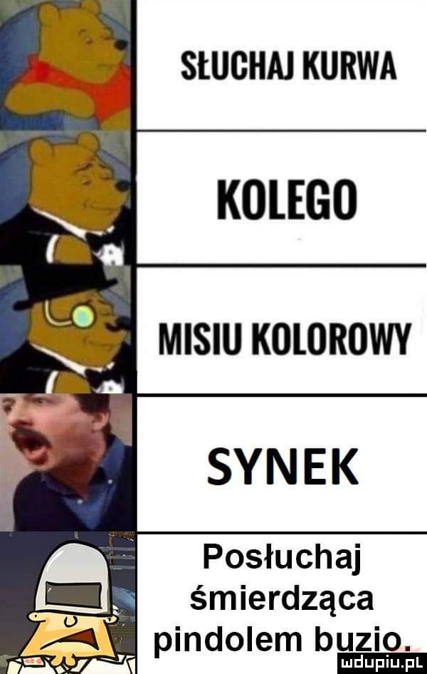 słuchaj kurwa posłuchaj śmierdząca pindolem buzio. ludu iu. l