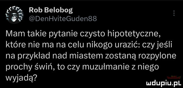 śr k robbelobog    denhvitegudenbs mam takie pytanie czysto hipotetyczne które nie ma na celu nikogo urazić czyjeśli na przykład nad miastem zostaną rozpylone prochy świń to czy muzułmanie z niego wyjadą
