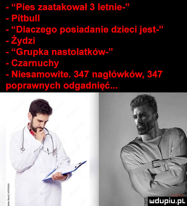 pies zaatakował   letnie pitbull dlaczego posiadanie dzieci jest żydzi grupka nastolatków czarnuchy niesamowite.     nagłówków     poprawnych odgadnięć. abakankami