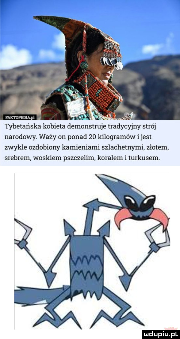 panoram pl. f. tybetańska kobieta demonstruje tradycyjny strój narodowy. waży on ponad    kilogramów ijest zwykle ozdobiony kamieniami szlachetnymi złotem srebrem woskiem pszczelim koralem i turkusem