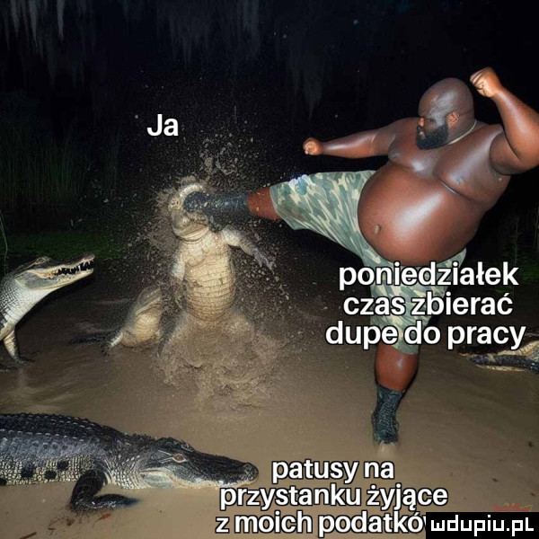 po n edźfałek czas zbierać dupe do pracy zyjąceh m hpadatkó mdupiu. fil