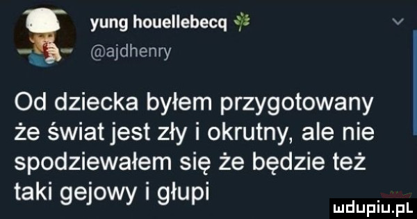 yang houellebecq    v ajdhenry od dziecka byłem przygotowany że świat jest zły i okrutny ale nie spodziewałem się że będzie też taki gajowy i głupi