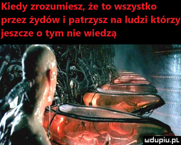 Obrazek