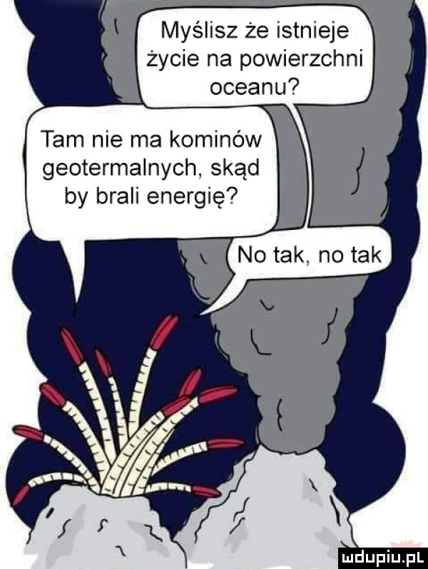 myślisz że istnieje życie na powierzchni oceanu tam nie ma kominów geotermalnych skąd by brali energię no tak no tak