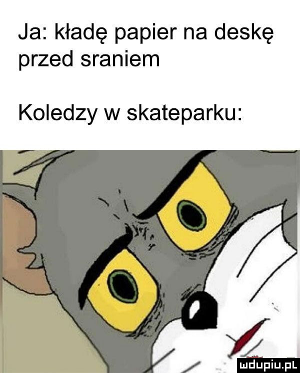 ja kładę papier na deskę przed sraniem koledzy w skateparku