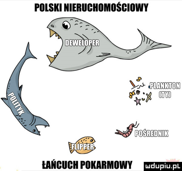 i illski iiieiiiigiiiimiiśgiiiwy cfllpl eli uﬂeucn rummwv