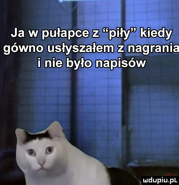 ja w pułapce z piły kiedy gówno usłyszałem z nagrania i nie było napisów