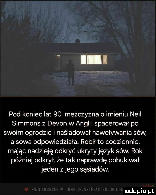 pod koniec lat   . mężczyzna o imieniu neil simmons z devon w anglii spacerował po swoim ogrodzie i naśladował nawoływania sów a sowa odpowiedziała. robił to codziennie mając nadzieję odkryć ukrytyjęzyk sów. rok później odkrył że tak naprawdę pohukiwał jeden z jego sąsiadów