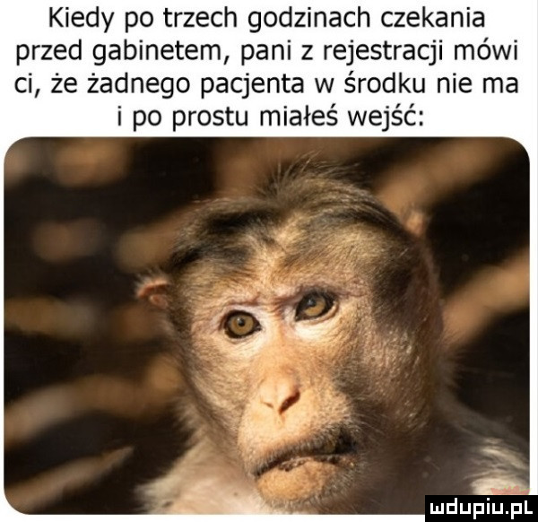 kiedy po trzech godzinach czekania przed gabinetem pani z rejestracji mówi ci że żadnego pacjenta w środku nie ma i po prestu miałeś wejść mdupiﬁjal