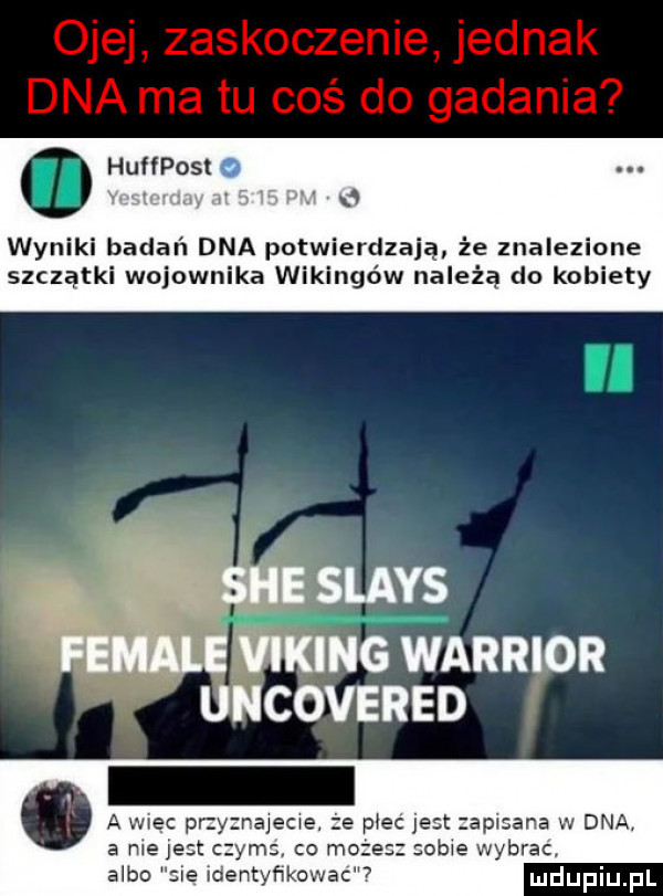 huffposł wynik badań dna potwierdzają. że znalezione szczątki wojownika wikingów należą do kobiety ﬂame female wani warrior uncovaneo a więc pr y na eche e pleć jest apisana w dna yes co mo obie wybrac