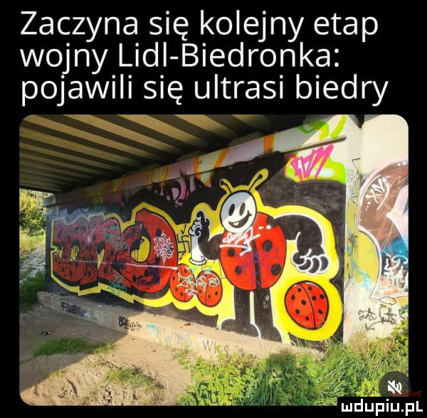 zaczyna się kolejny etap wojny lidl biedronka pojawili się ultrasi biedry ę ui u iu l
