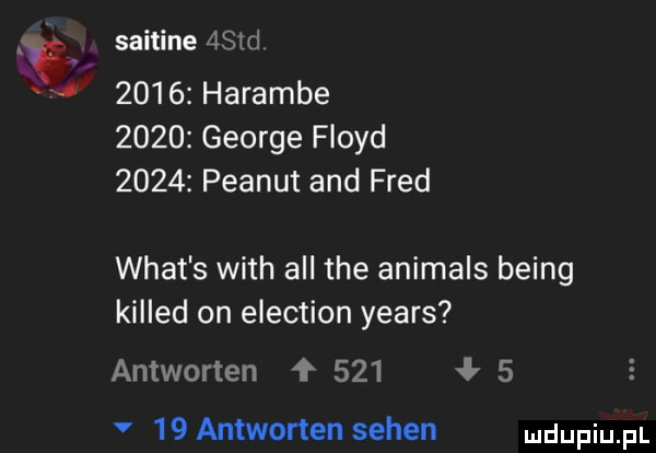 saitine    d      haramie      george floyd      peanut and fred wiat s with all tee animals being killed on election yeats antworten f     ł      antworten selen