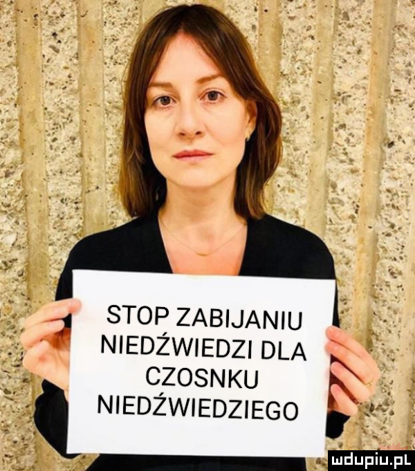 stopzabijaniu   niedżwiedzidla czosnku niedźwiedziego g