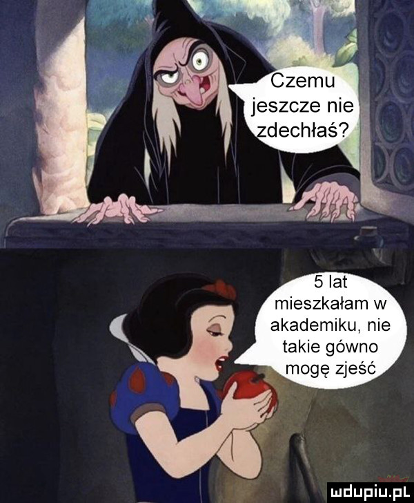 czemu jeszcze nie zdechłaś   lat mieszkałam w akademiku. nie takie gówno mogę zjeść