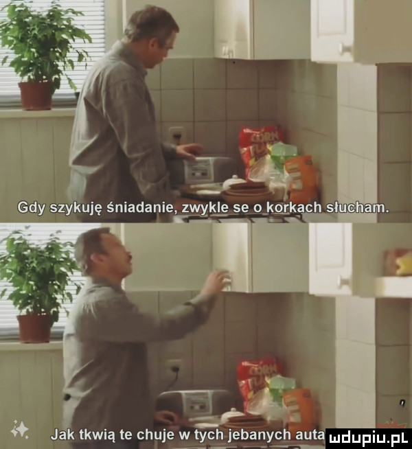 a jak tkwią te chuje w wn jebanych auta
