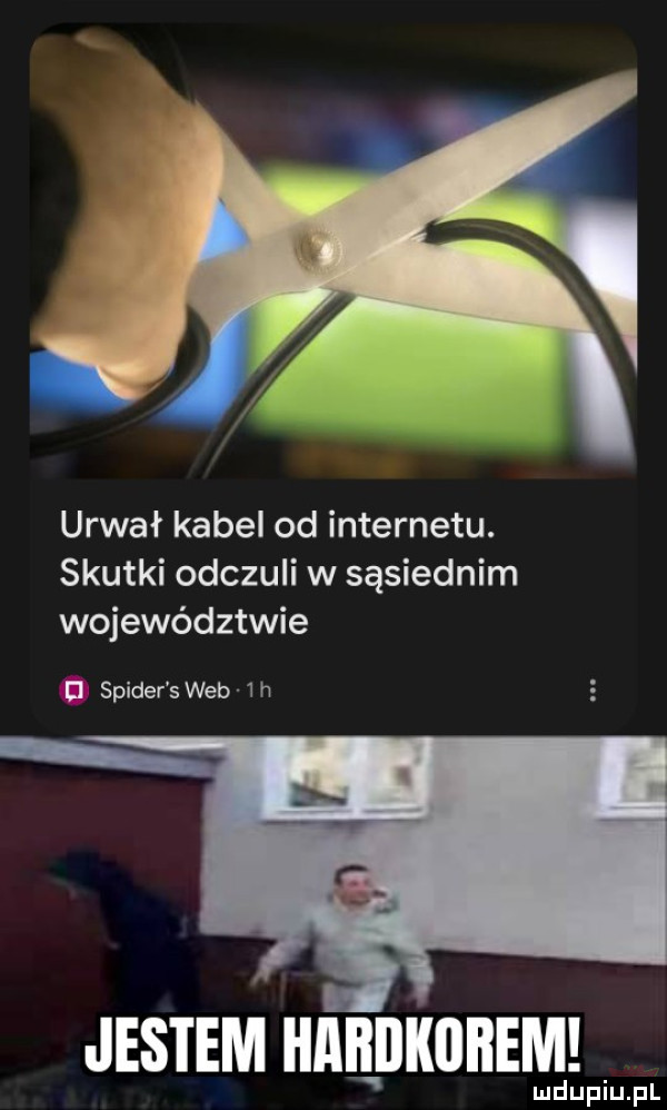 urwał kabel od internetu. skutki odczuli w sąsiednim województwie ﬂ spider s web ih jestem haiłiikiibem