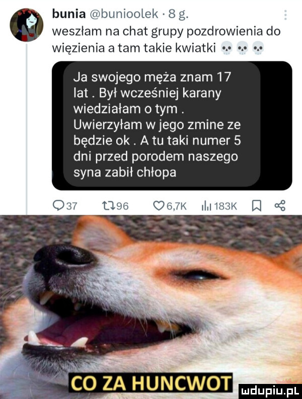 bania u bunioołck e g weszłam na chat grupy pozdrowienia do więzienia a tam takie kwiatki ja swojego męża znam    lat. był wcześniej karany wiedziałam o tym. uwierzyłam wjego zmine ze będzie ok. a tu taki numer   dni przed porodem naszego syna zabił chłopa