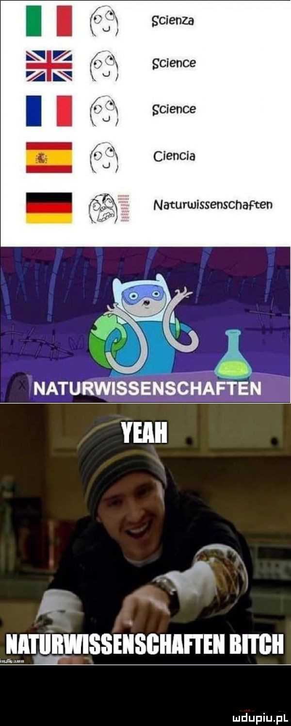 scienza science science ciencia naturwissenscnarten naturwissenschaften yeaii haussmann ren nrrcn