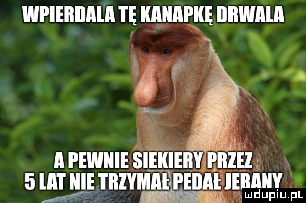 wpieiłilala ie kanapkę aawala o. a pewnie siekieiiy przez   ie i iizymai peiiai iebaiiy lu duciu pl
