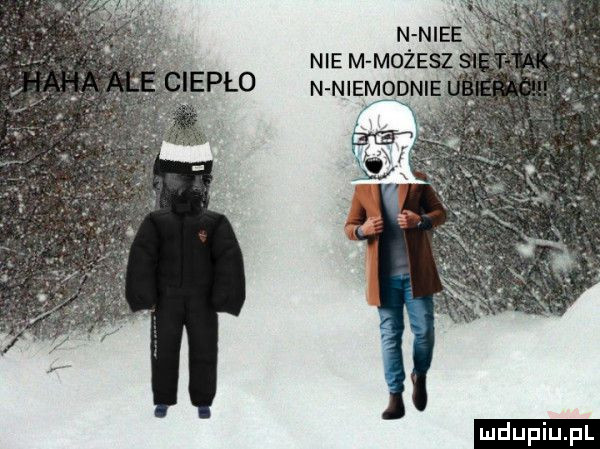 n nice nie m możesz