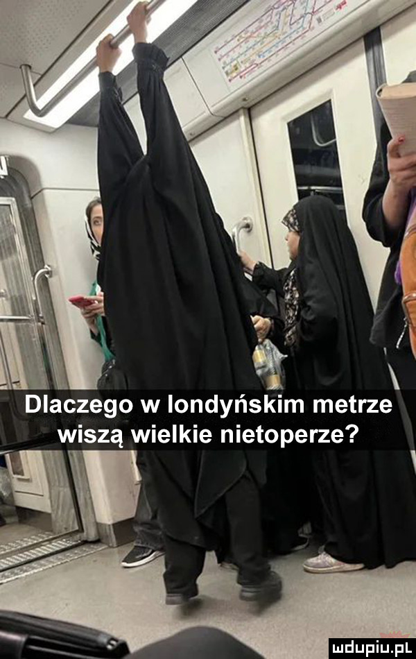 i d iaczego w londyńskim metrze wiszą wielkie nietoperze