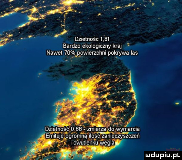 dzietność      bardzo ekologiczny kraj nawet      wierzchni pokrywa las