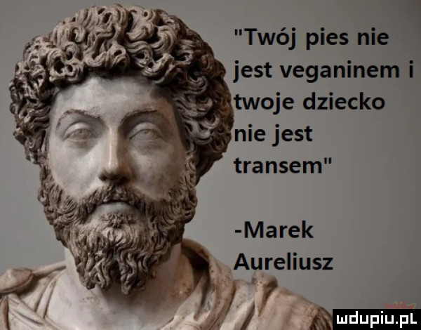 l twój pies nie jest veganinem i marek aureliusz mmm