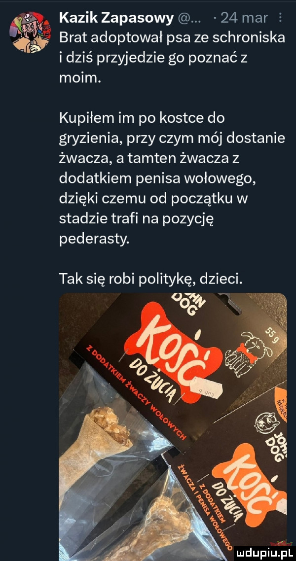at kazik zapasowy.    mar e. brat adoptował psa ze schroniska d  s przyjedzie go poznac z moim. kupiłem im po kostce do gryzienia przy czym mój dostanie żwacza a tamten żwacza z dodatkiem penisa wołowego dzięki czemu od początku w stadzie trafi na pozycję pederasty. tak się robi politykę dzieci