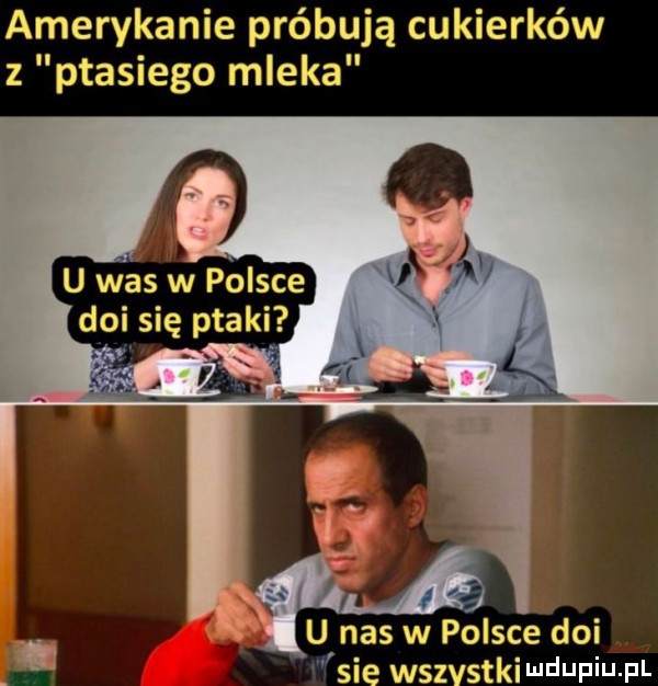 amerykanie próbują cukierków z ptasiego mleka u nas w polsce doi si wsz stkidepiu f