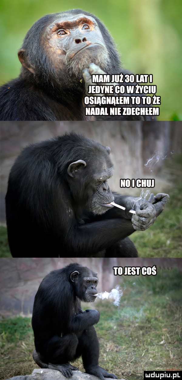 mm nvmlu matiiiz iiaiim icie ziiegiiieii. a