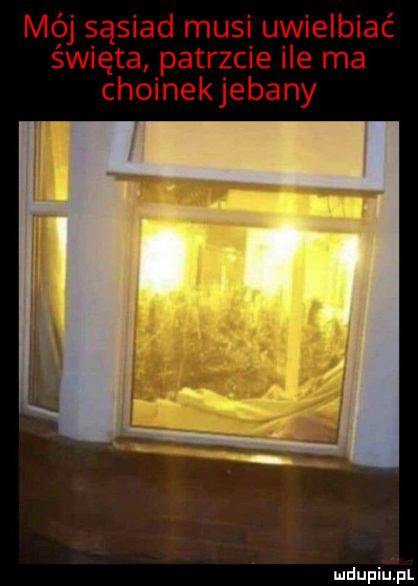 Obrazek