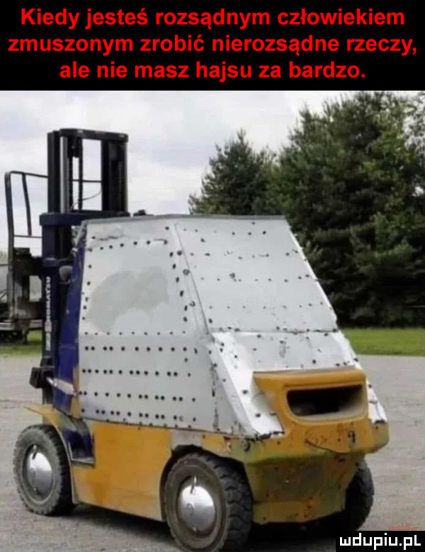 ludupiul