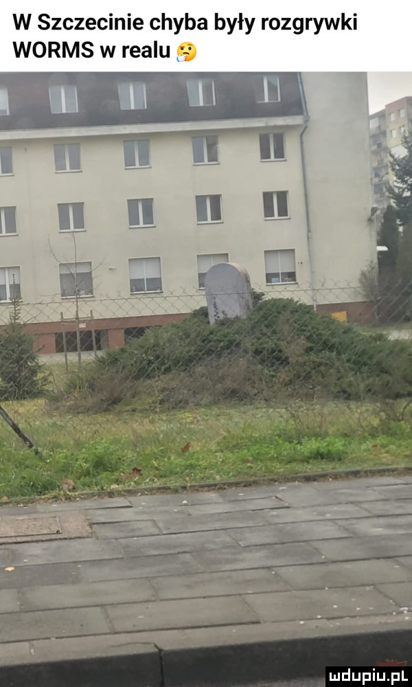w szczecinie chyba były rozgrywki worms w realu