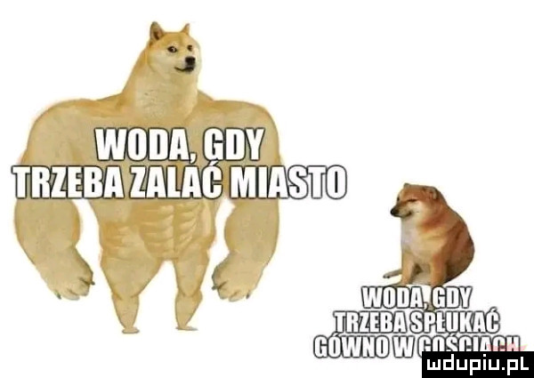 j weile trzeba lalag mm k   wnim j ibzebaspi m nawunmnnśmm