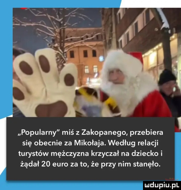 popularny miś z zakopanego przebiera się obecnie za mikołaja. według relacji turystów mężczyzna krzyczał na dziecko i żądał    euro za to że przy nim stanęło