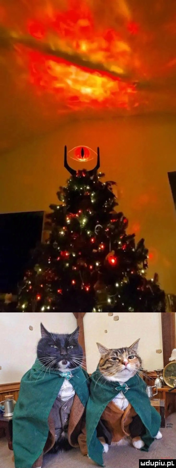 ń. abakankami. abakankami. o i o x. abakankami. i. l. abakankami. abakankami. abakankami ai. abakankami