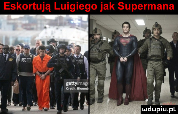 ludupiu. pl