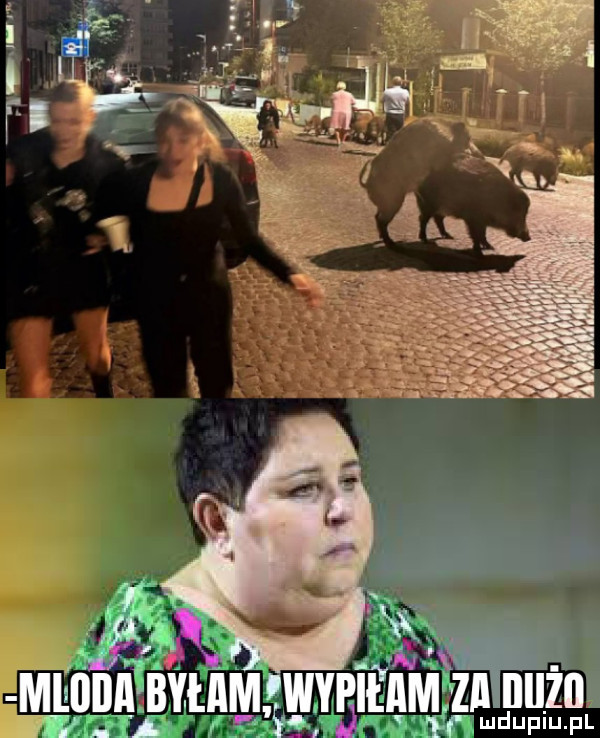 f min jnaębvżeam wypiiffm zn um wan    .  mm
