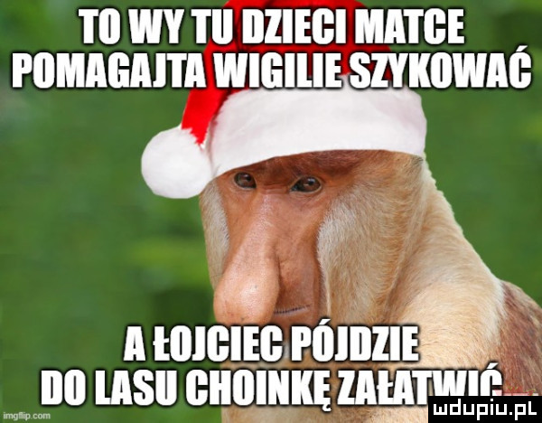 i l wy i il diiegi mitre pumagai i a wllillie szykowag ibl lasll giiiiiiikę ziła itwii uwm mdupiu. pl