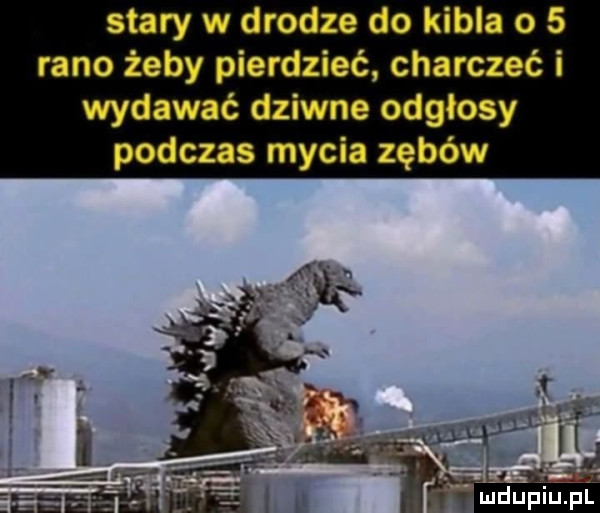 stary w drodze do kibla o   rano żaby pierdzieć charczeć i wydawać dziwne odgłosy podczas mycia zębów