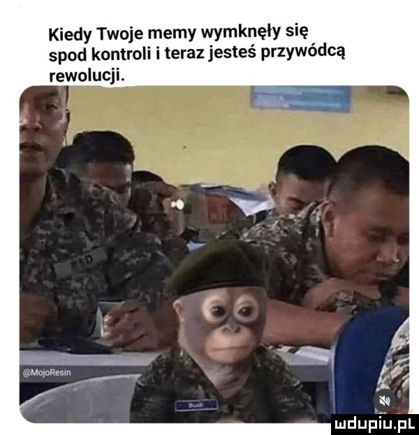 kiedy twoje memy wymknęły się spod kontroli i teraz jesteś przywódcą rewolucji. maanres mduﬁiﬁpl