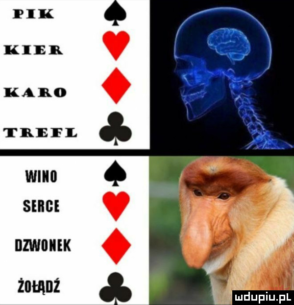 żnmuź
