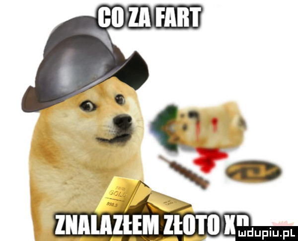 iiialazłem lłii i il i ludupiu. pl