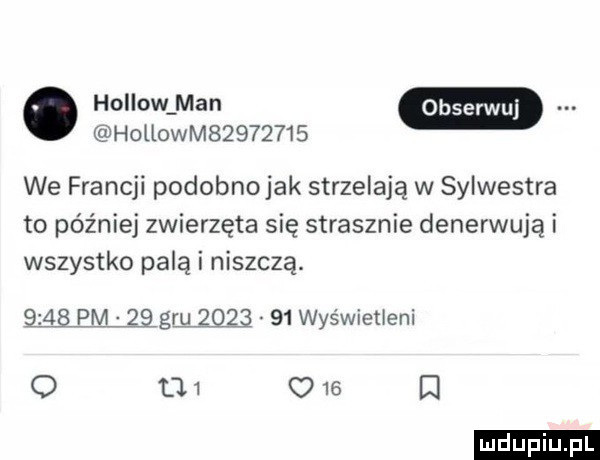 hohowm         we francji podobnojak strzelają w sylwestra to później zwierzęta się strasznie denerwują i wszystko palą i niszczą. qlśbemłlęqqżq    was wietleni   l       q