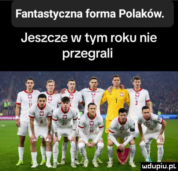 fantastyczna forma polaków. jeszcze w tym roku nie przegrali