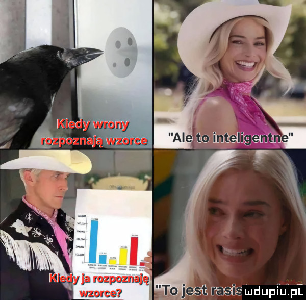 mdupiepe