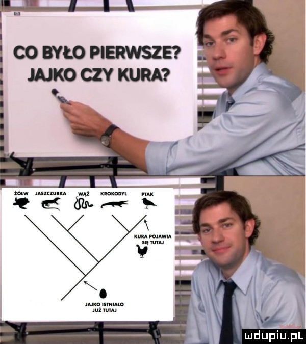 cowłopierwsze mmm