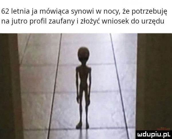 letnia ja mówiąca synowi w nocy że potrzebuję na jutro profil zaufanyi złożyć wniosek do urzędu