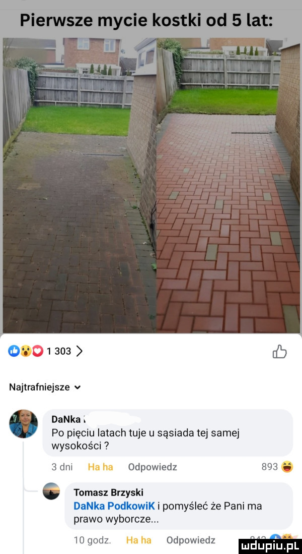 o      najtrafniejsze v danka. po pięciu latach tuje u sąsiada tej samej wysokości   dni odpowiedz   tomasz brzyski danka podkowik i pomyśleć że pani ma prawo wyborcza    godz odpowmdz maupqul