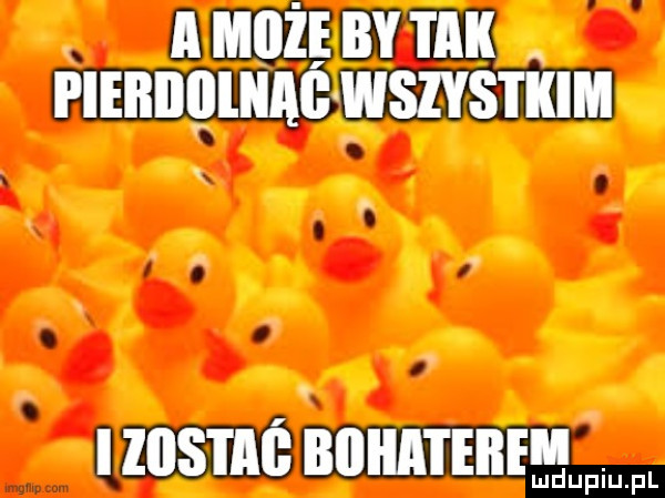Obrazek